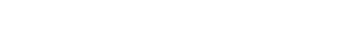 Dromo Logo